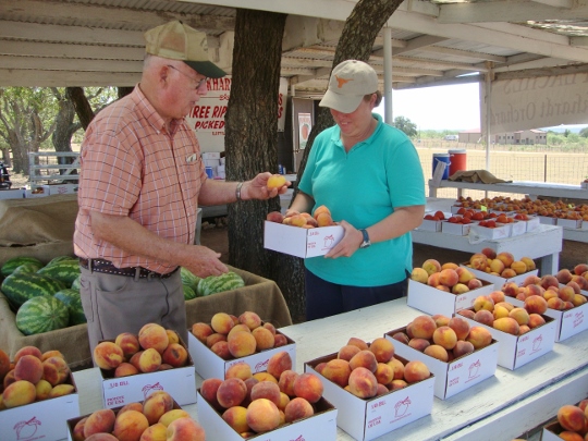 peaches tx 4 (540x405)