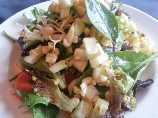 20130907_185227_resized (520x390)