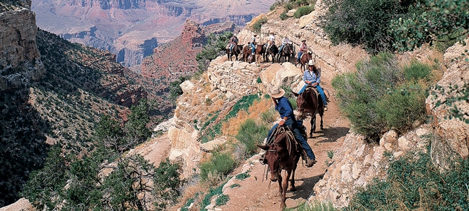 Grand Canyon South Rim Mule Trail