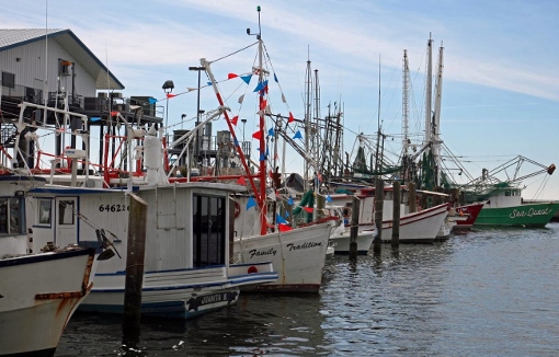 boats1 (510x326)